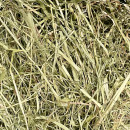 Foin Séché en Grange 5 Kg (EXTRA) produit en normandie, brins longs Foin Séché en Grange 5 Kg (EXTRA) produit en normandie, brins longs