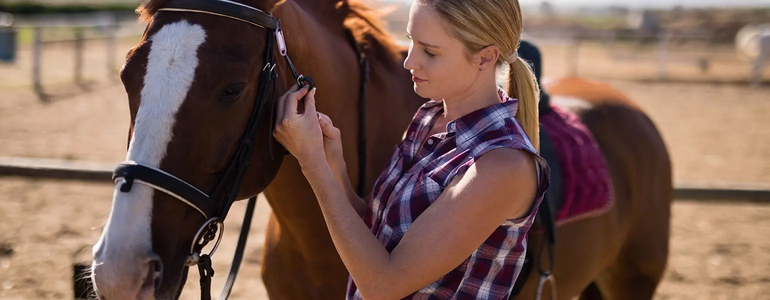 cheval-anas.jpg.webp