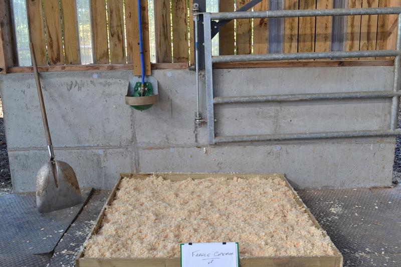 Case de test de 2,25 m² (1,5 × 1,5 m) utilisée pour le comparatif litière cheval — protocole Green Normandy